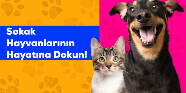 Pazarama’dan Dünya Sokak Hayvanları Günü’ne özel destek.