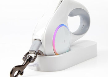 Gençler bavulunu paylaşıyor: Artık köpekler de tatile dahil!