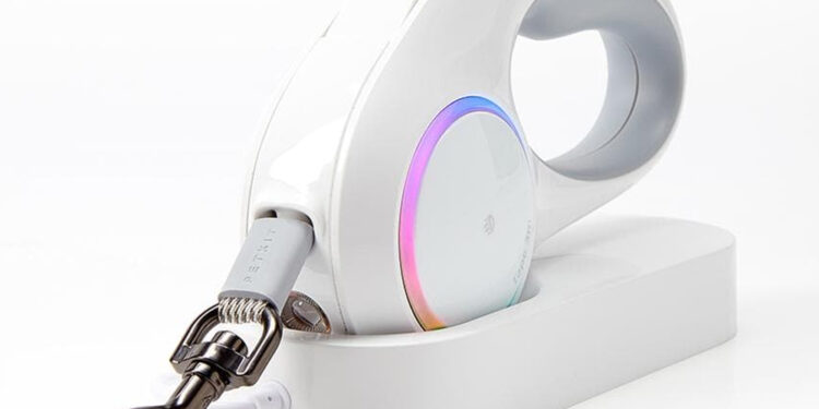 Gençler bavulunu paylaşıyor: Artık köpekler de tatile dahil!