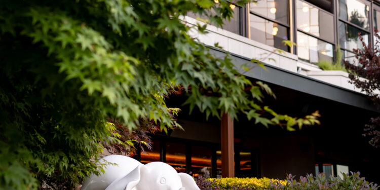 Swissôtel The Bosphorus’ta: sanat ve doğa şehrin kalbinde buluşuyor!