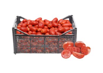 Kışa lezzet katacak domatesler Metro’da!