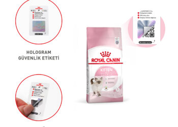 Kedi ve köpekler risk altında: sahte mama tehlikesi.