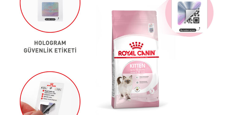 Kedi ve köpekler risk altında: sahte mama tehlikesi.