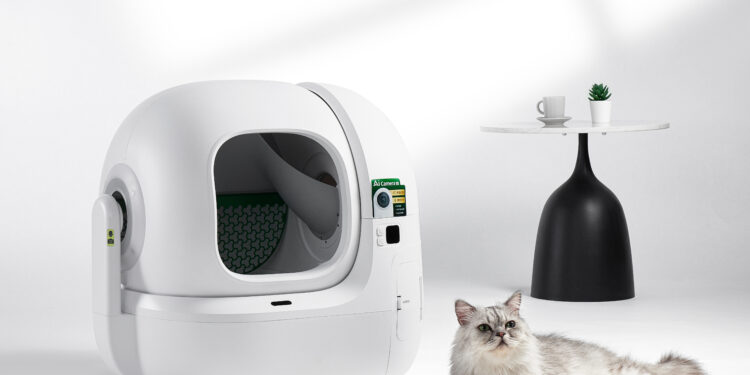 Kedilerin gizli dünyasına yapay zeka merceği: hastalıklar artık saklanamıyor.