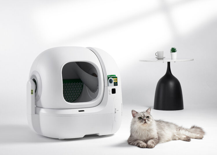 Kedilerin gizli dünyasına yapay zeka merceği: hastalıklar artık saklanamıyor.